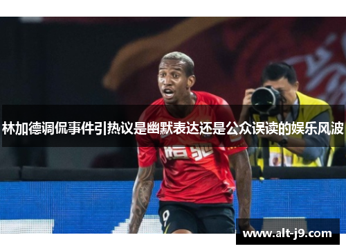 林加德调侃事件引热议是幽默表达还是公众误读的娱乐风波